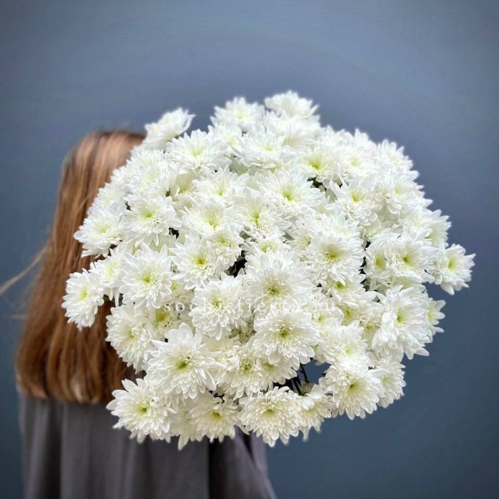 Охапка Хризантемы кустовой в Магнитогорске