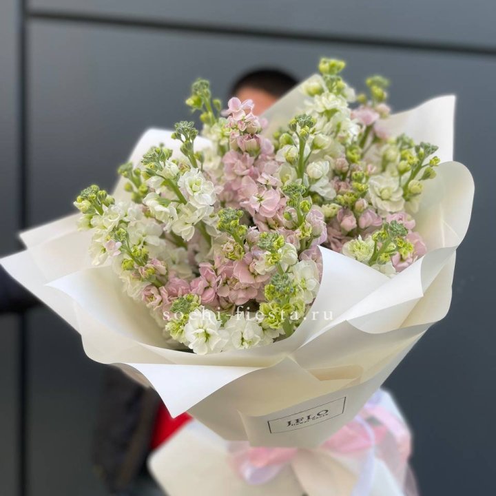 29 маттиол  в Магнитогорске