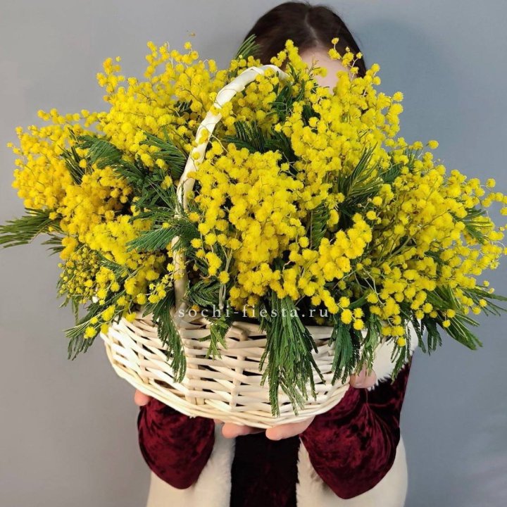 Корзина ароматной мимозы в Магнитогорске