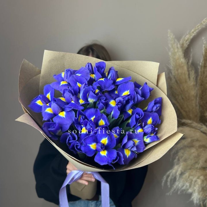 Ирисы в Магнитогорске