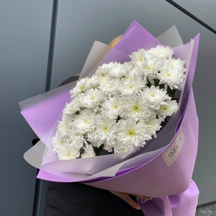  7 хризантем  в Магнитогорске