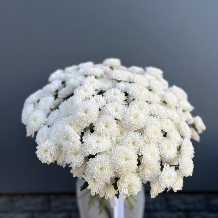  25 хризантем белых в Магнитогорске