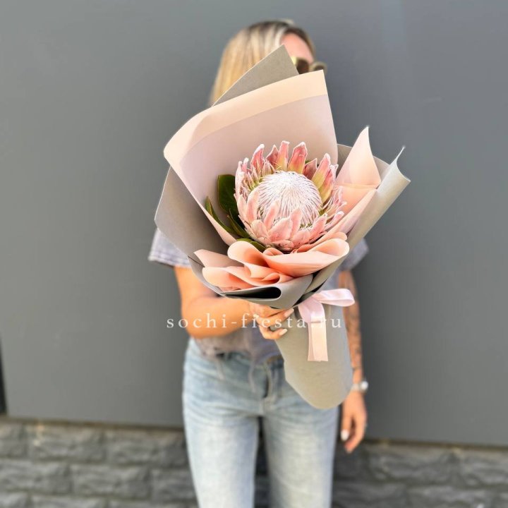 Протея мини  в Магнитогорске