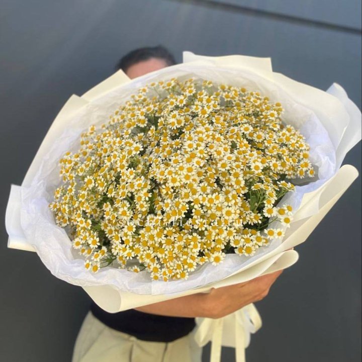 Букет ромашек №2 в Магнитогорске