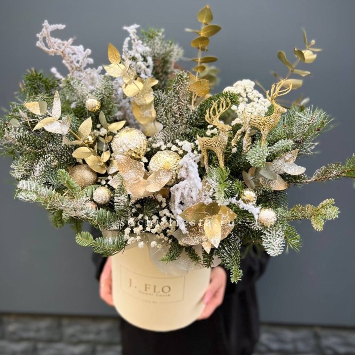 Золотой бокс с нобилисом в Магнитогорске