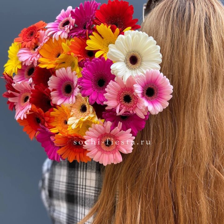 Охапка гербер  в Магнитогорске