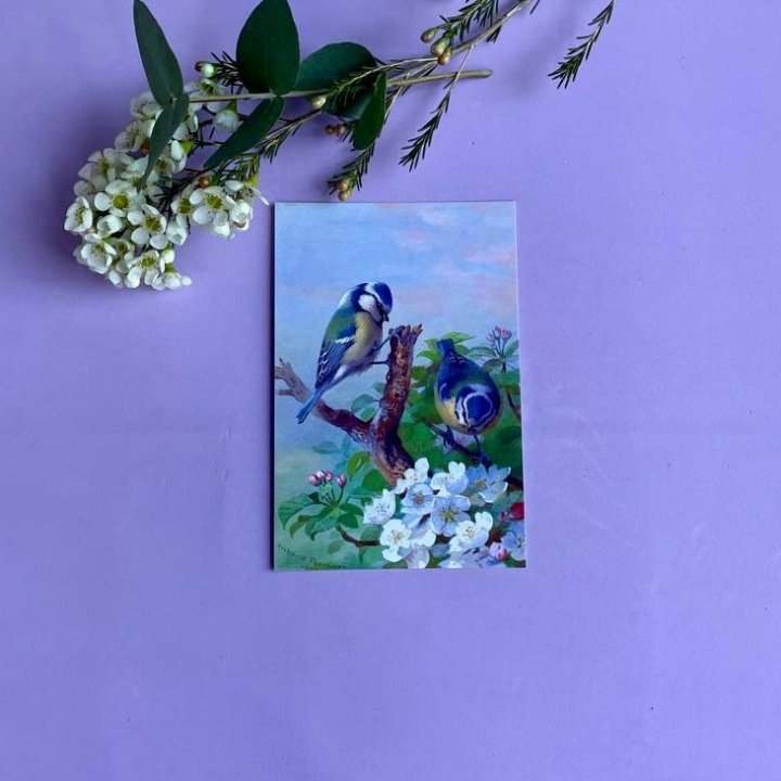 Открытка к букету "Птицы" в Магнитогорске