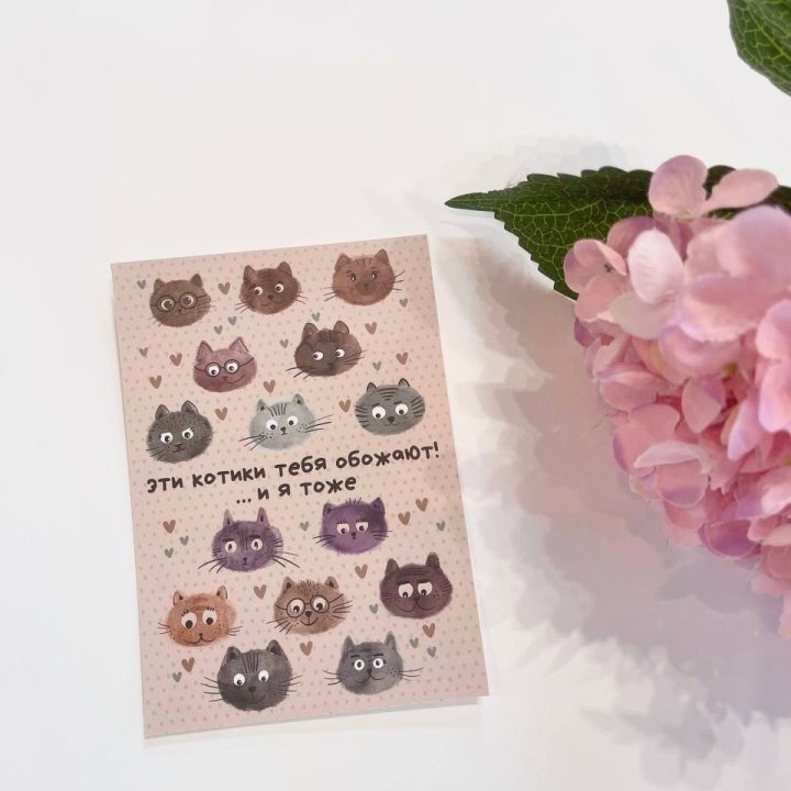 Открытка к букету "Котики" в Магнитогорске