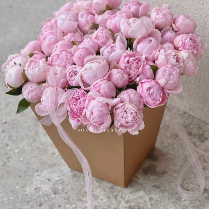 49 пионов в крафт коробке в Магнитогорске