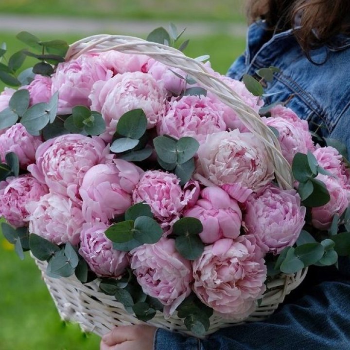 51 пион в корзине в Магнитогорске