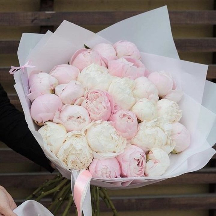 29 пионов в Магнитогорске