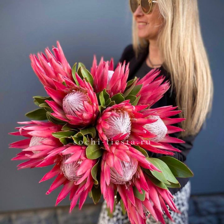 Протея штучно в Магнитогорске