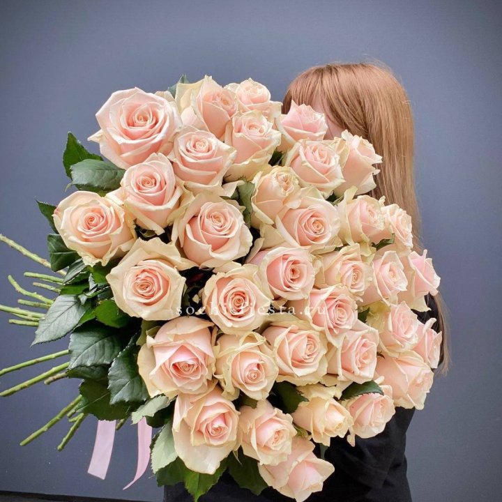 35 кремовых высоких роз в Магнитогорске
