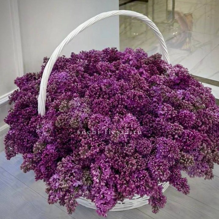 Корзина сирени в Магнитогорске