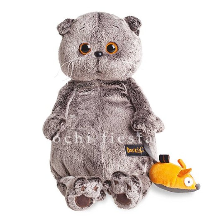 Кот Басик с мышкой в Магнитогорске