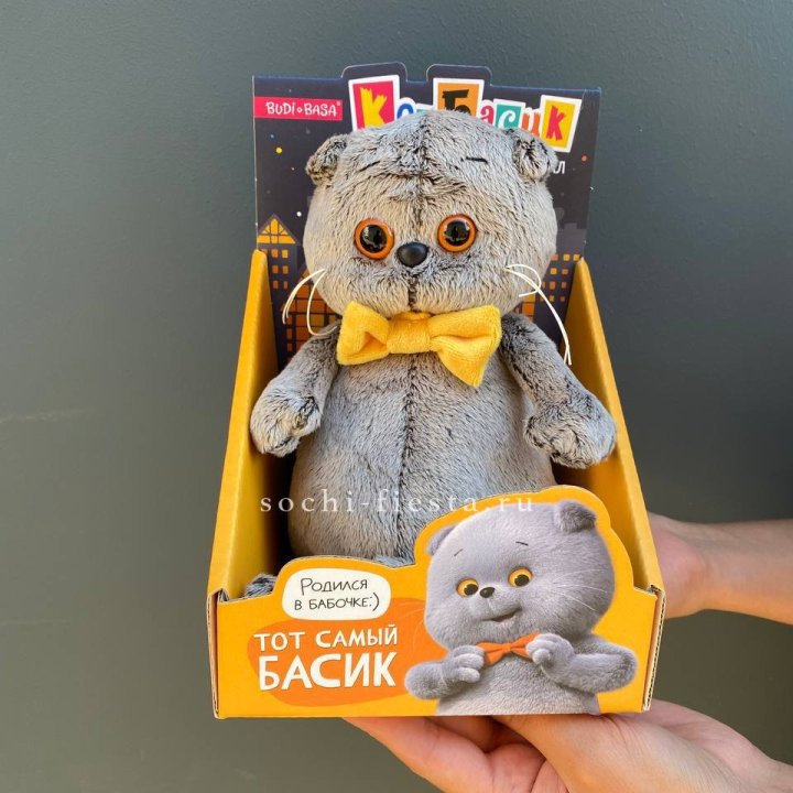 Кот Басик с бабочкой в Магнитогорске