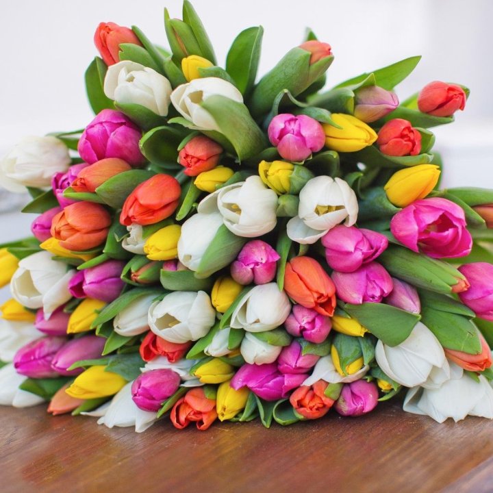 79 тюльпанов "Рандом" в Магнитогорске