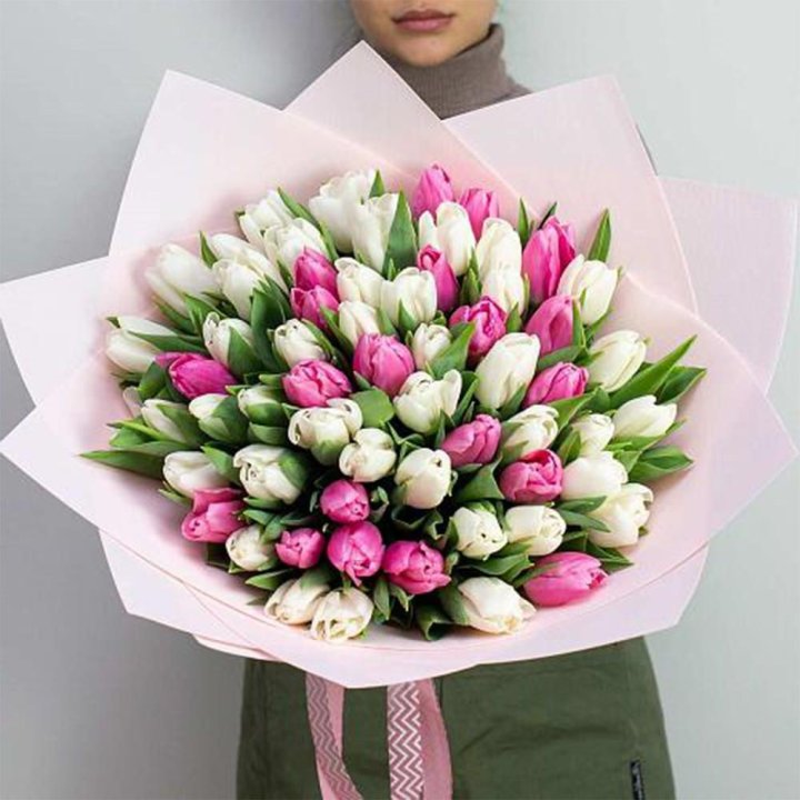 61 бело-розовый тюльпан в Магнитогорске