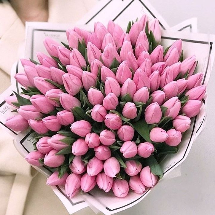 101 розовый тюльпан в белом в Магнитогорске