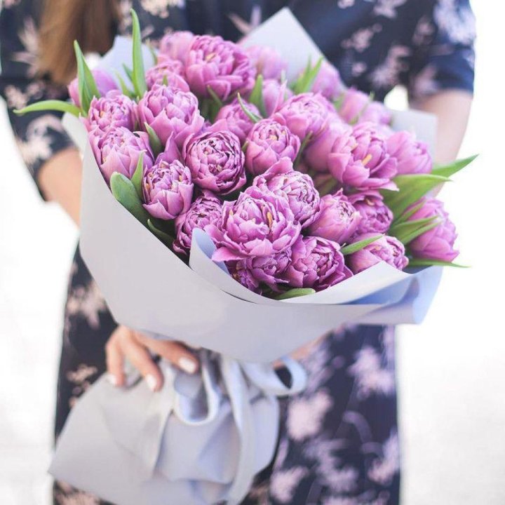 Тюльпаны "Пионс" в Магнитогорске