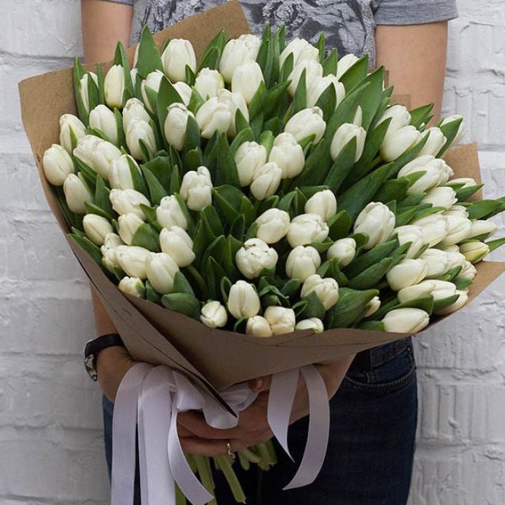 101 тюльпан сноу в Магнитогорске