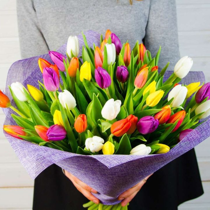 51 тюльпан "Рандом" №2 в Магнитогорске