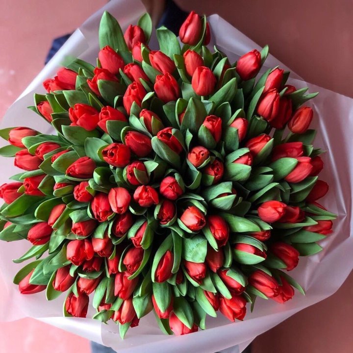 101 красный тюльпан в Магнитогорске